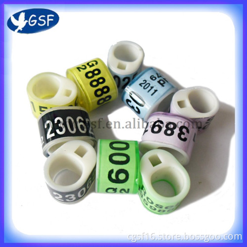 belgium ring band ,custom plastic ring